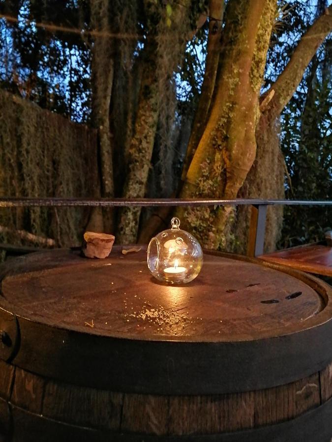 Eco Hostal Casa La Juana Bed & Breakfast เมเดยิน ภายนอก รูปภาพ
